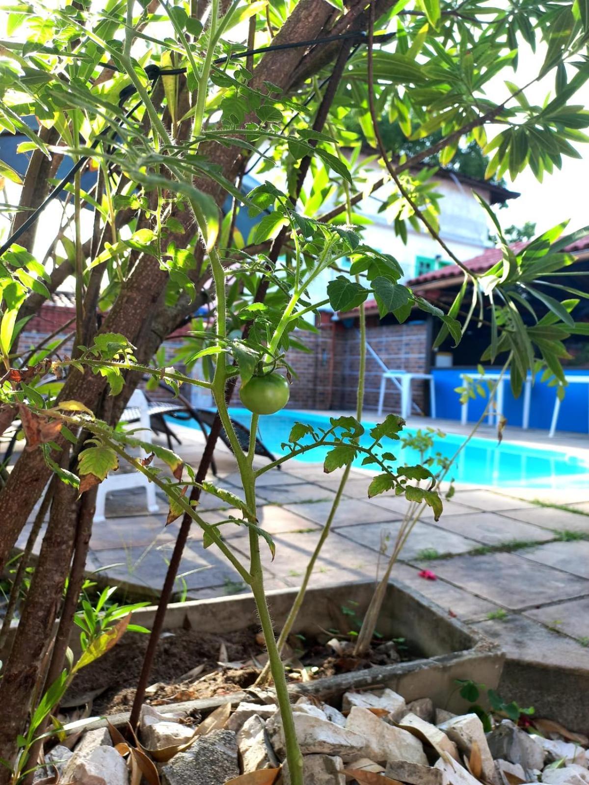 Pousada Flor Do Dende Porto Seguro Dış mekan fotoğraf